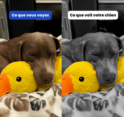 DuckyPlush