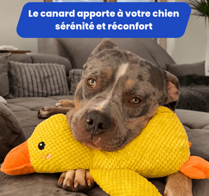 DuckyPlush