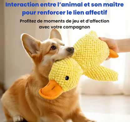 DuckyPlush